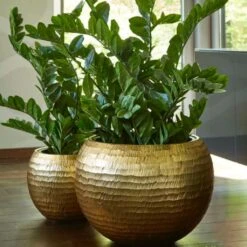 2er Set Goldene Vasen Aus Polystone - Rund - Mit Einsatz - Deon