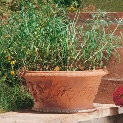 Einzigartiges Ornamente Terracotta Pflanzgefäß - Gian