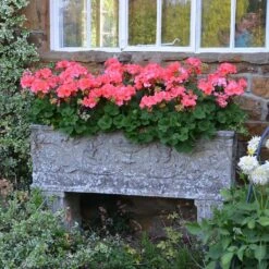 Großer Stein Pflanztrog Antik - Vicenza Grande -Günstiges Laub Tanz Geschäft grosser stein pflanztrog antik vicenza grande3