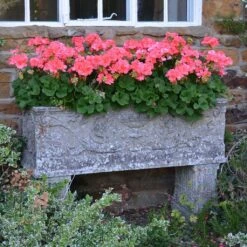 Großer Stein Pflanztrog Antik - Vicenza Grande -Günstiges Laub Tanz Geschäft grosser stein pflanztrog antik vicenza grande4