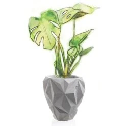 Großer Übertopf Aus Beton Im Modernen Design - Hockney -Günstiges Laub Tanz Geschäft grosser uebertopf aus beton im modernen design hockney3