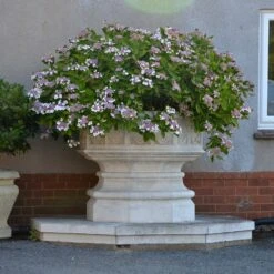 Historischer Pflanztrog Groß XXL - Elstow Abbey -Günstiges Laub Tanz Geschäft historischer pflanztrog gross xxl elstow abbey4