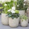 Outdoor Pflanztopf Im 4er Set - Steinoptik - Leicht & Winterfest - Allerona -Günstiges Laub Tanz Geschäft outdoor pflanztopf im 4er set steinoptik leicht winterfest allerona