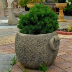 Pflanztopf Mit Rauer Oberfläche Und Griffen - Rundes Steinguss Gefäß - Kiveli -Günstiges Laub Tanz Geschäft pflanztopf mit rauer oberflaeche und griffen rundes steinguss gefaess kiveli3