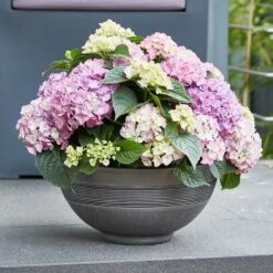 Runde Pflanzschale In Anthrazit Aus Ecostone Kunststoff - Elda