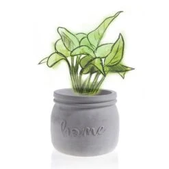 Runder Home-Blumentopf Aus Beton Im Klassischen Design - Mondrin -Günstiges Laub Tanz Geschäft runder home blumentopf aus beton im klassischen design mondrin3