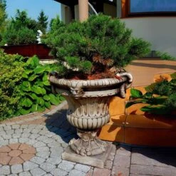 Günstiges Laub Tanz Geschäft -Günstiges Laub Tanz Geschäft wetterbestaendige steinguss pflanzvase im roemischen stil eudocia2