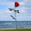 XXL Gartenrose Aus Stahl Mit Details Aus Handarbeit - Rosera -Günstiges Laub Tanz Geschäft xxl gartenrose aus stahl mit details aus handarbeit rosera
