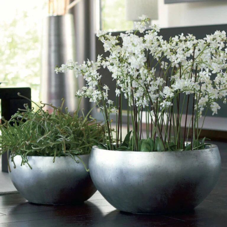 Günstiges Laub Tanz Geschäft -Günstiges Laub Tanz Geschäft 2er set pflanzschalen polystone silber indoor besma 768x768 1