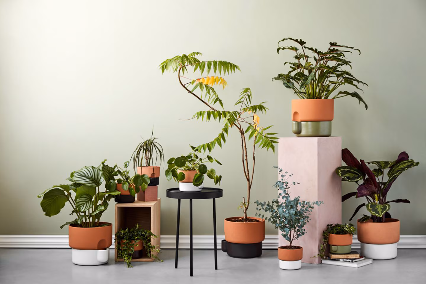 Günstiges Laub Tanz Geschäft -Günstiges Laub Tanz Geschäft northern oasis geschenke jpg 69596